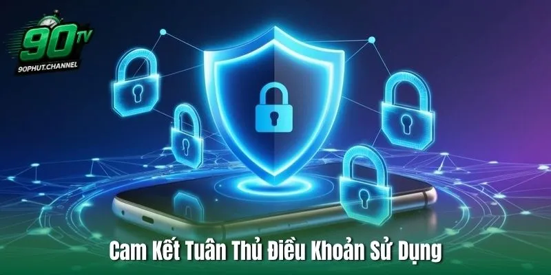 Cam Kết Tuân Thủ Điều Khoản Sử Dụng